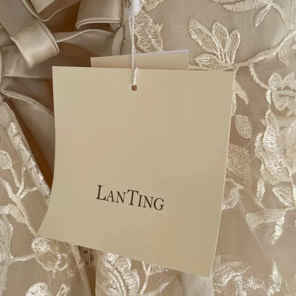 Gorgeous champagne lace wedding gown - Picture 10 of 12